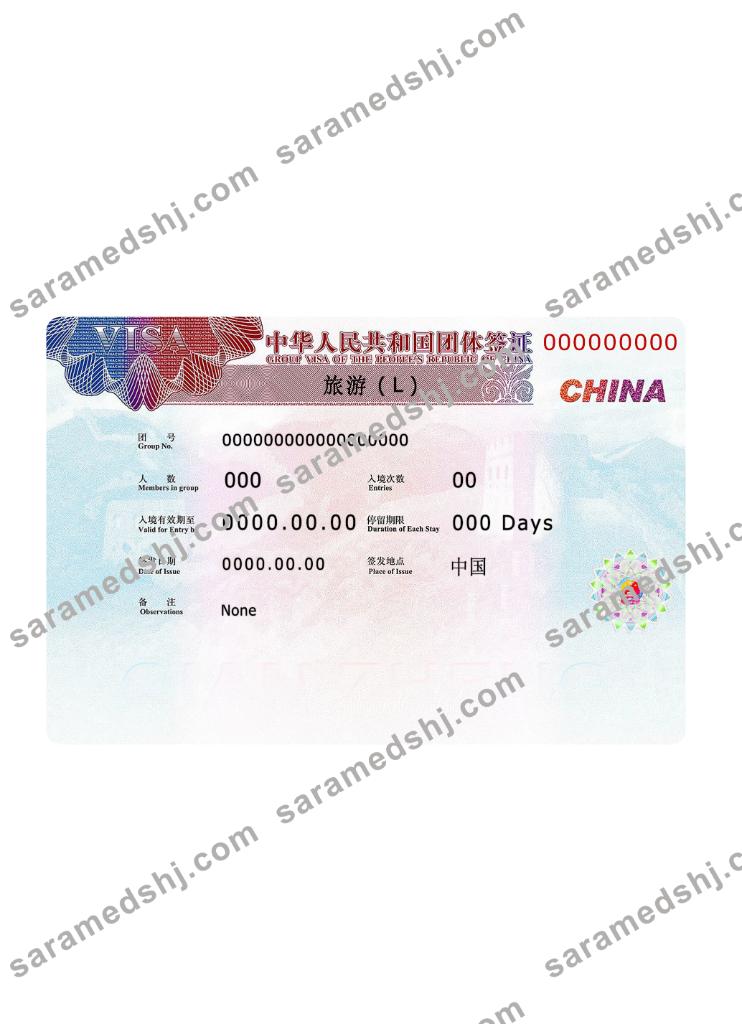 China visa 2019 present